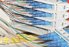 Fibres in wall tray225